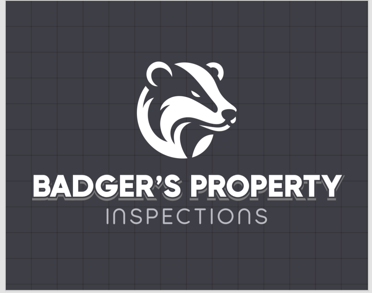 badgerspropertyinspections.com